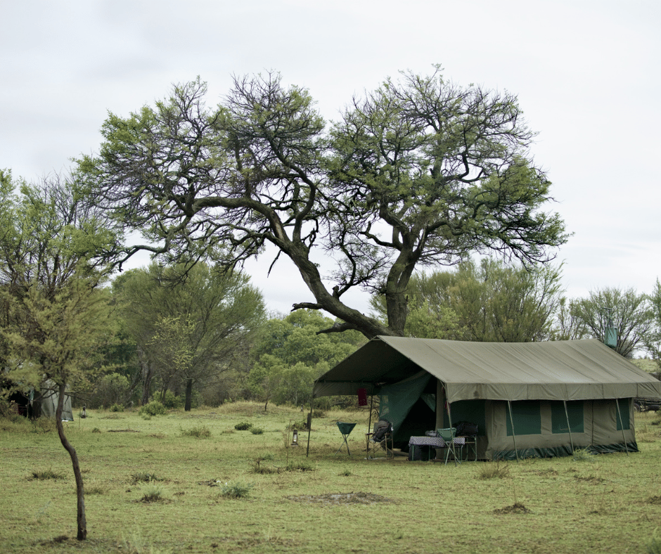 Serengeti camp leisure