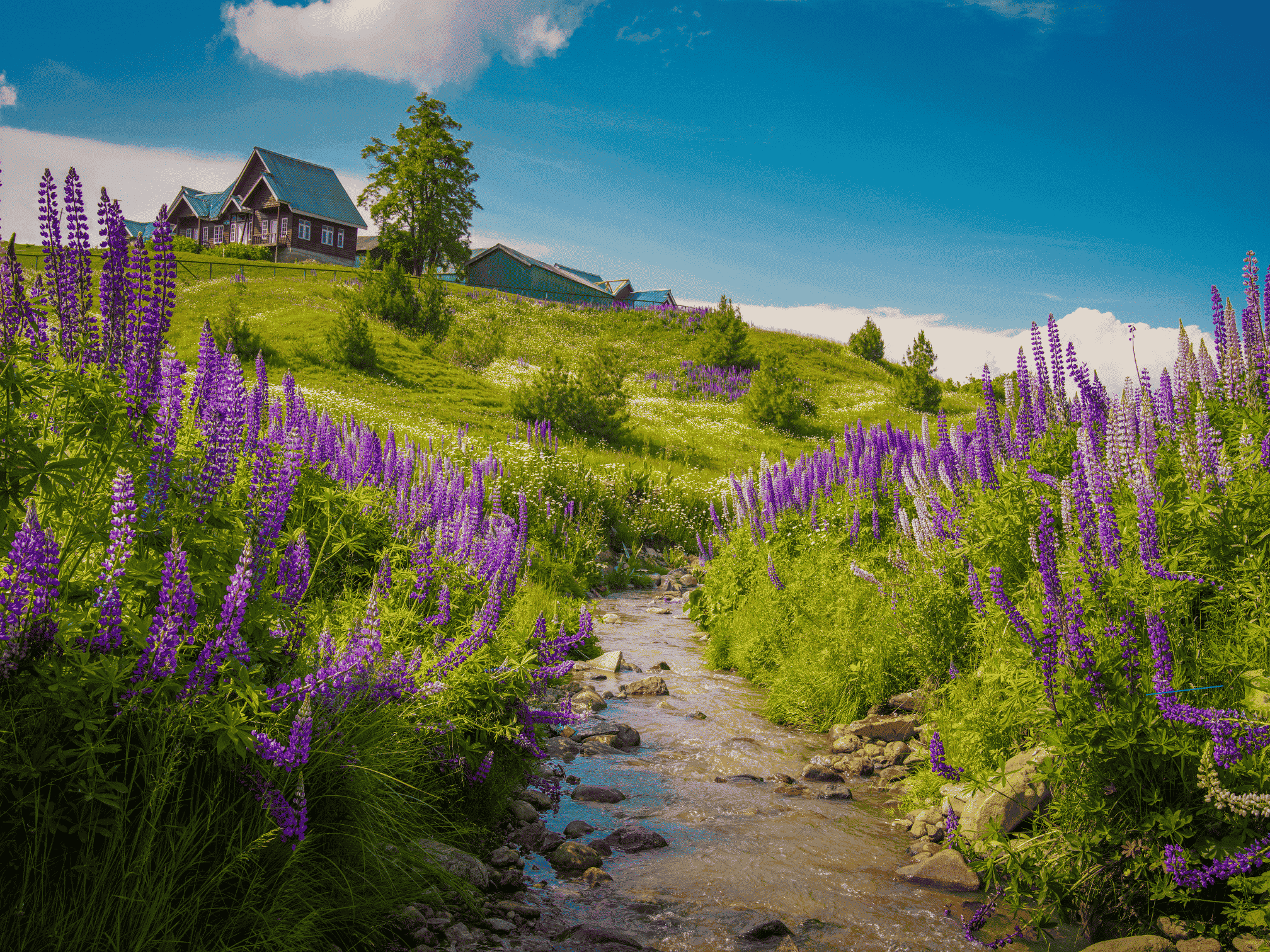 Sightseeing in Gulmarg