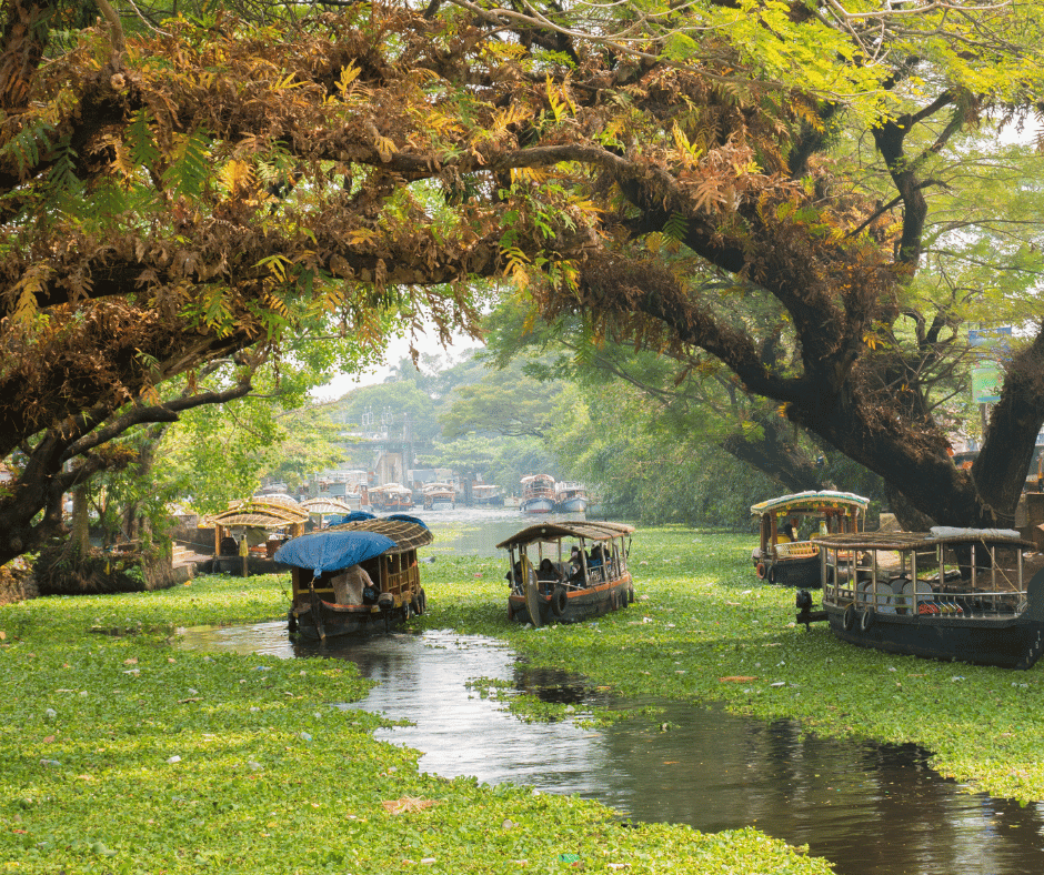 Alleppey