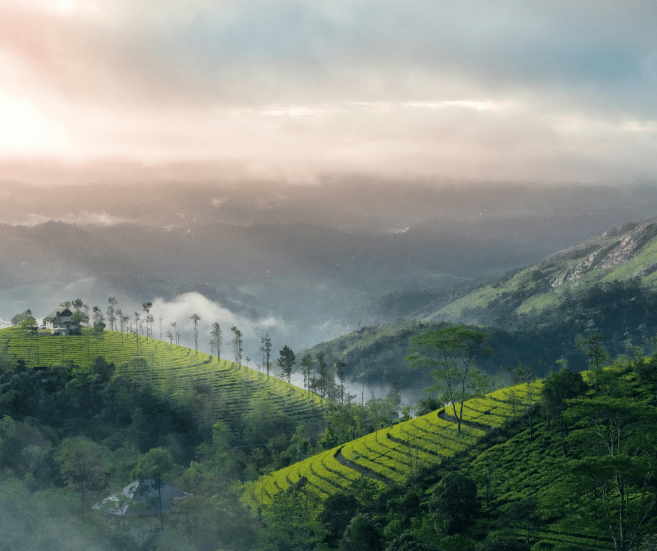 Munnar
