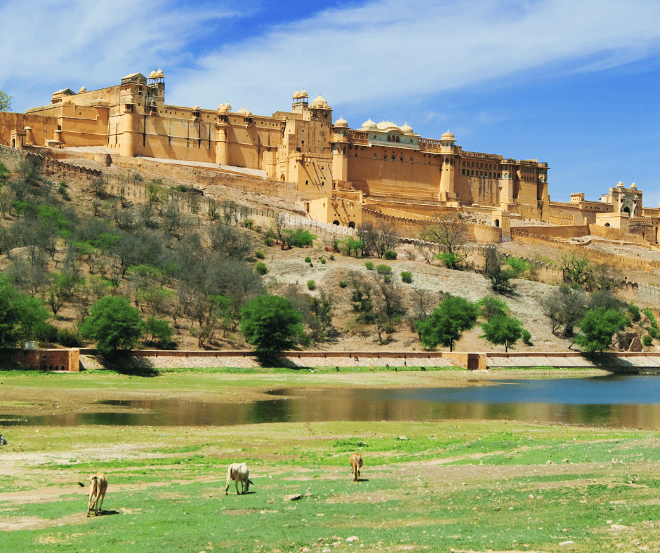 Jaipur 
