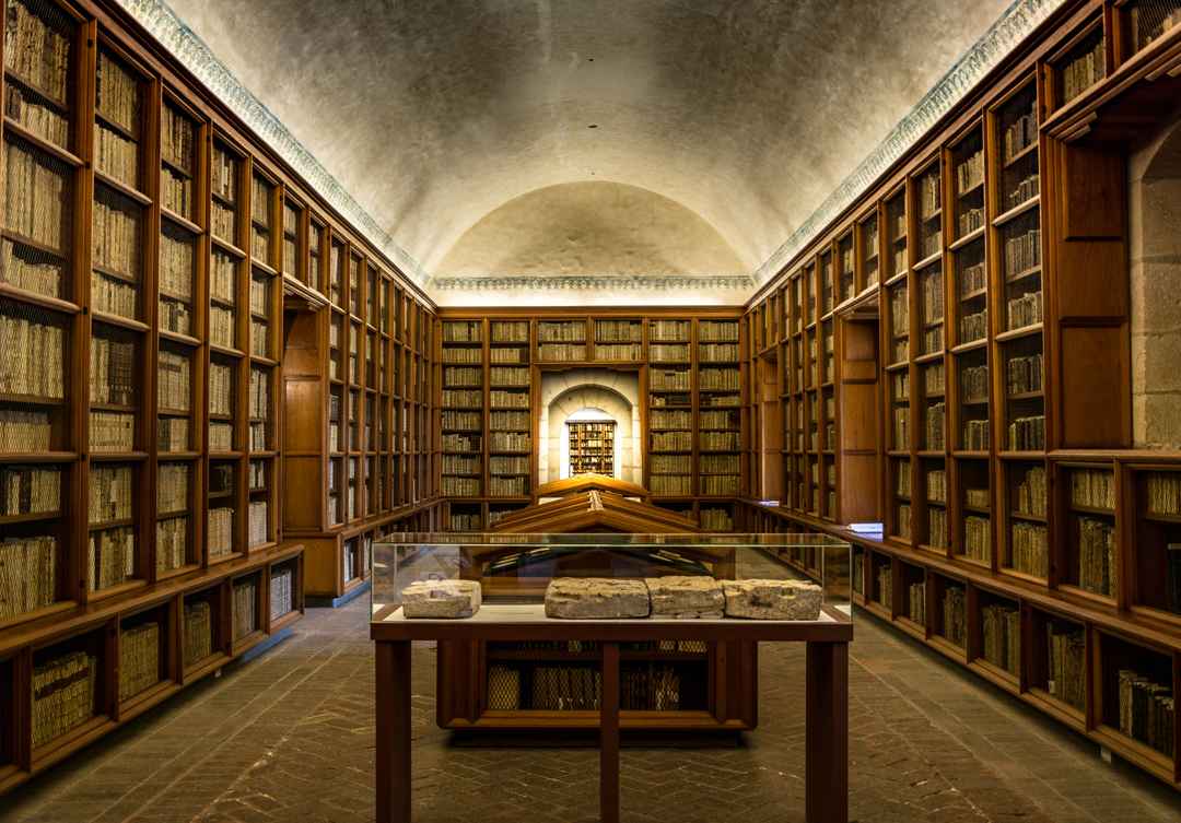 Bhadariya Library
