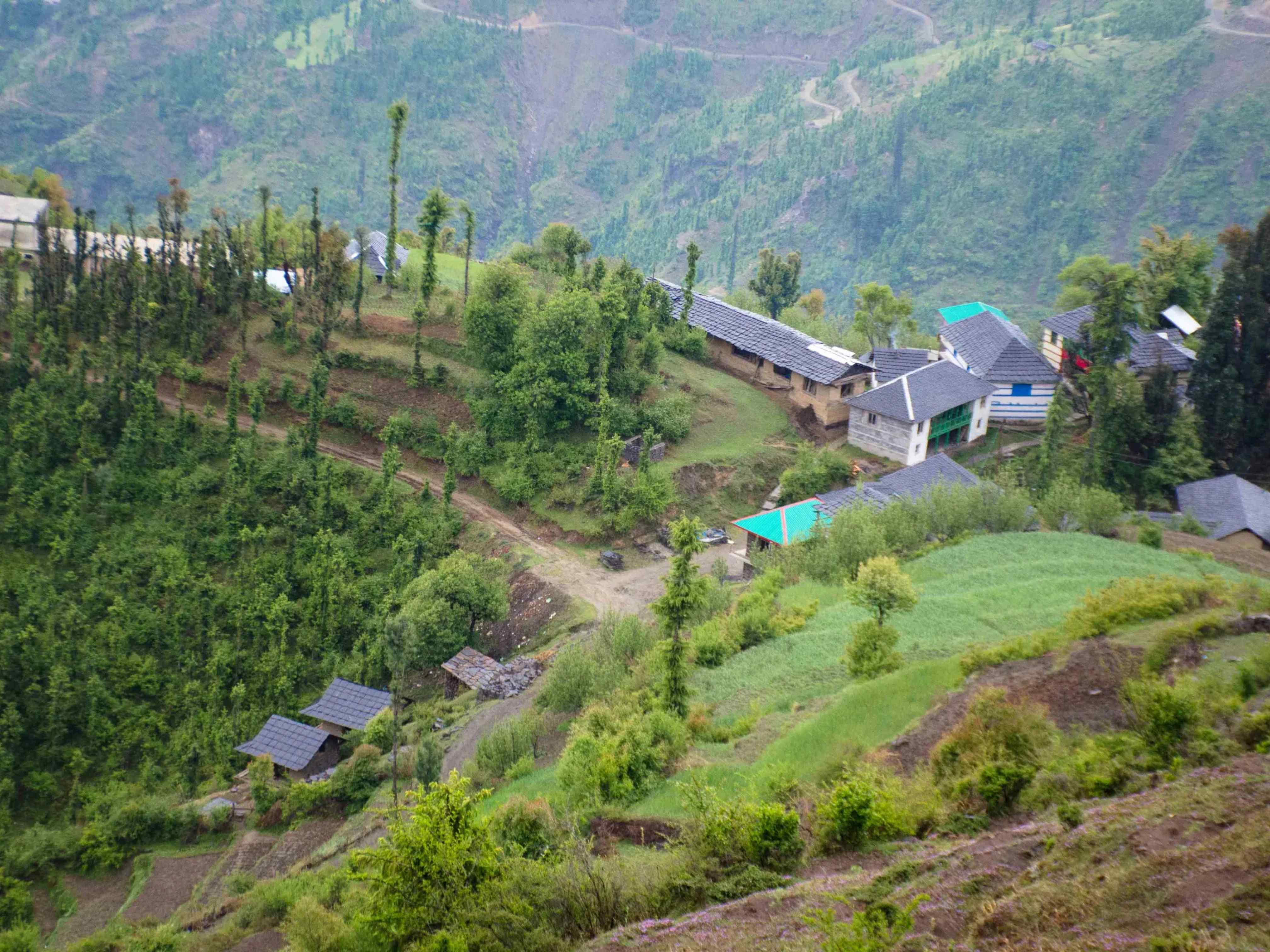 Gushaini