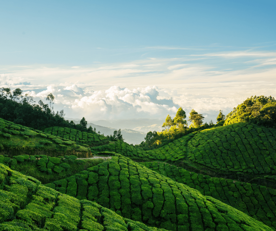 Munnar