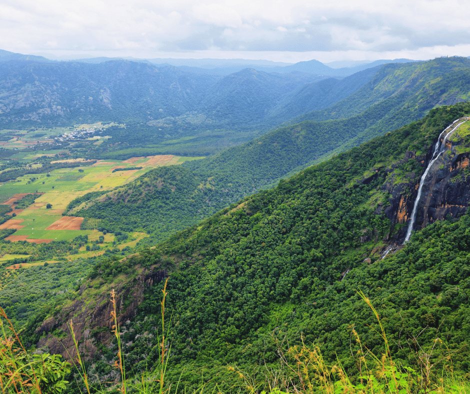 Thekkady