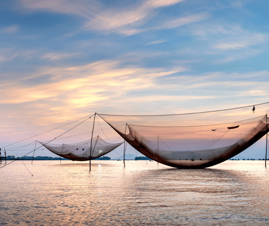 Kochi