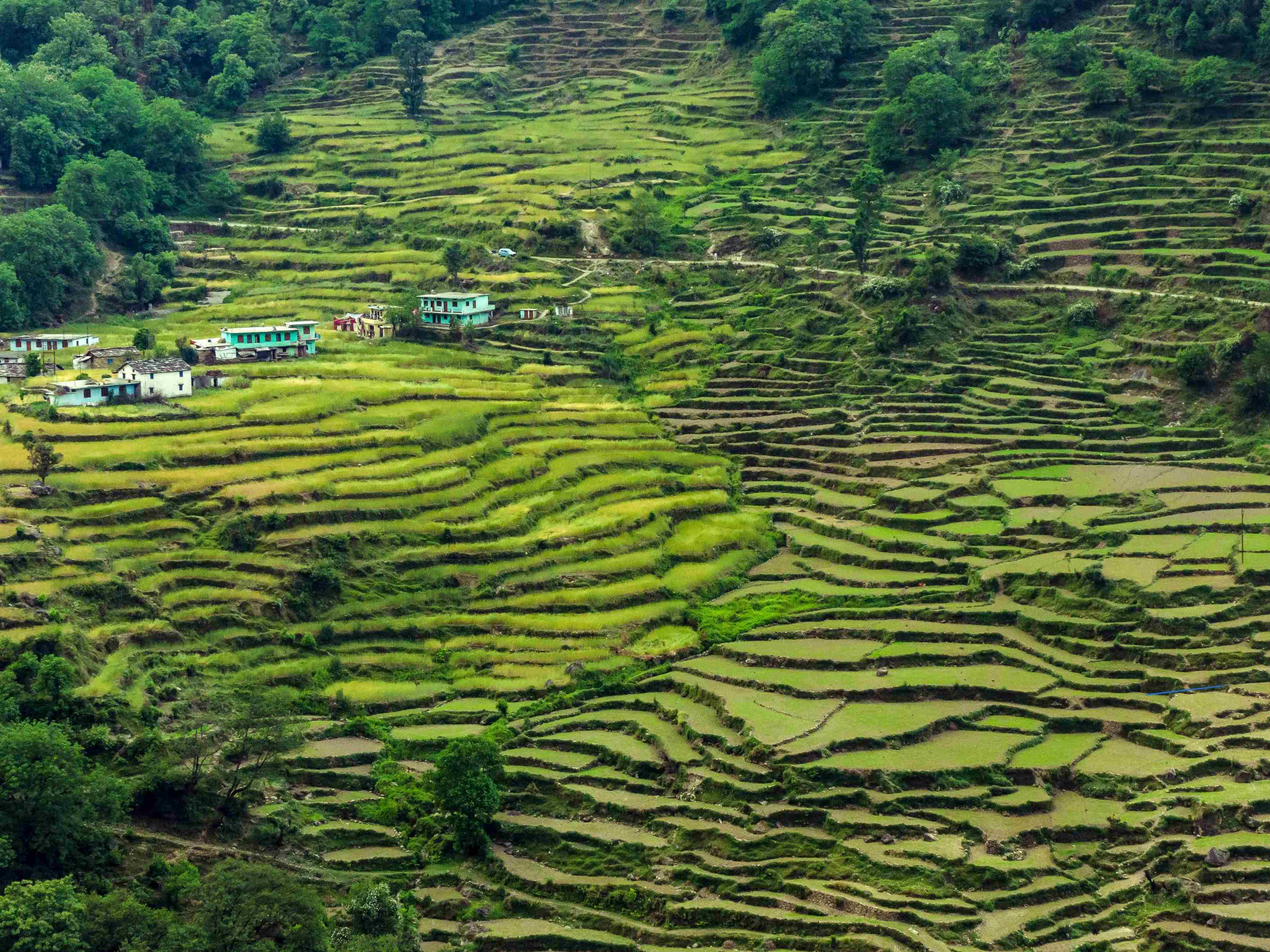 Chopta