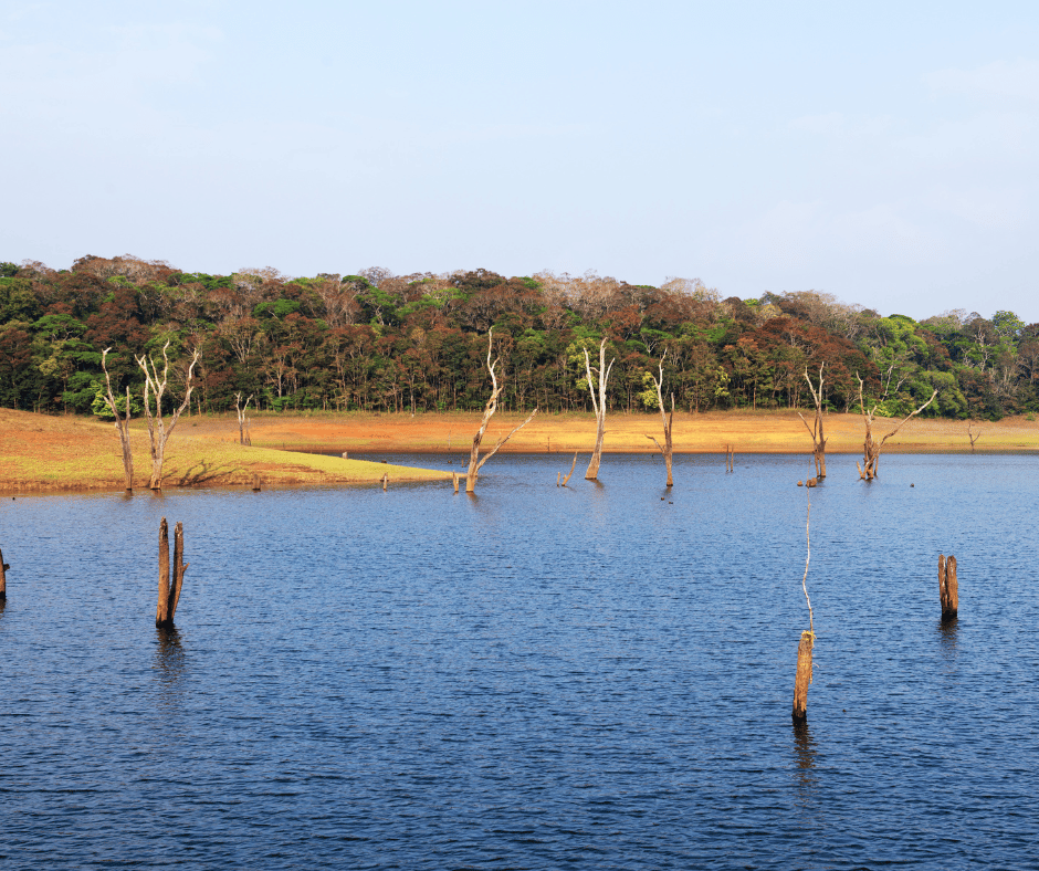 Thekkady