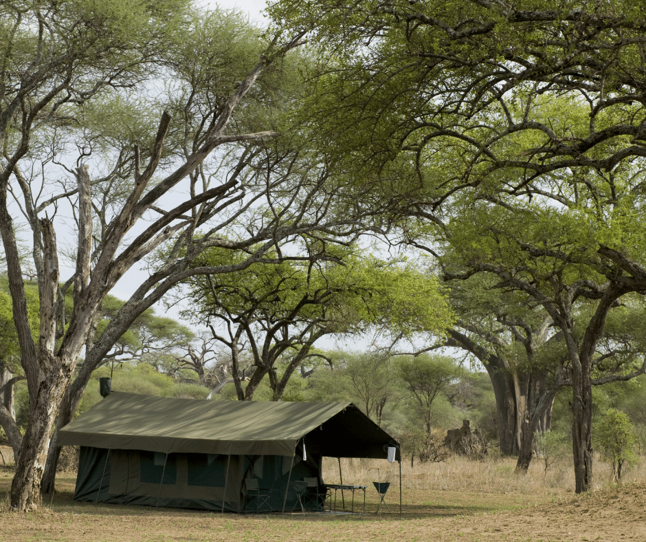 Serengeti camp leisure