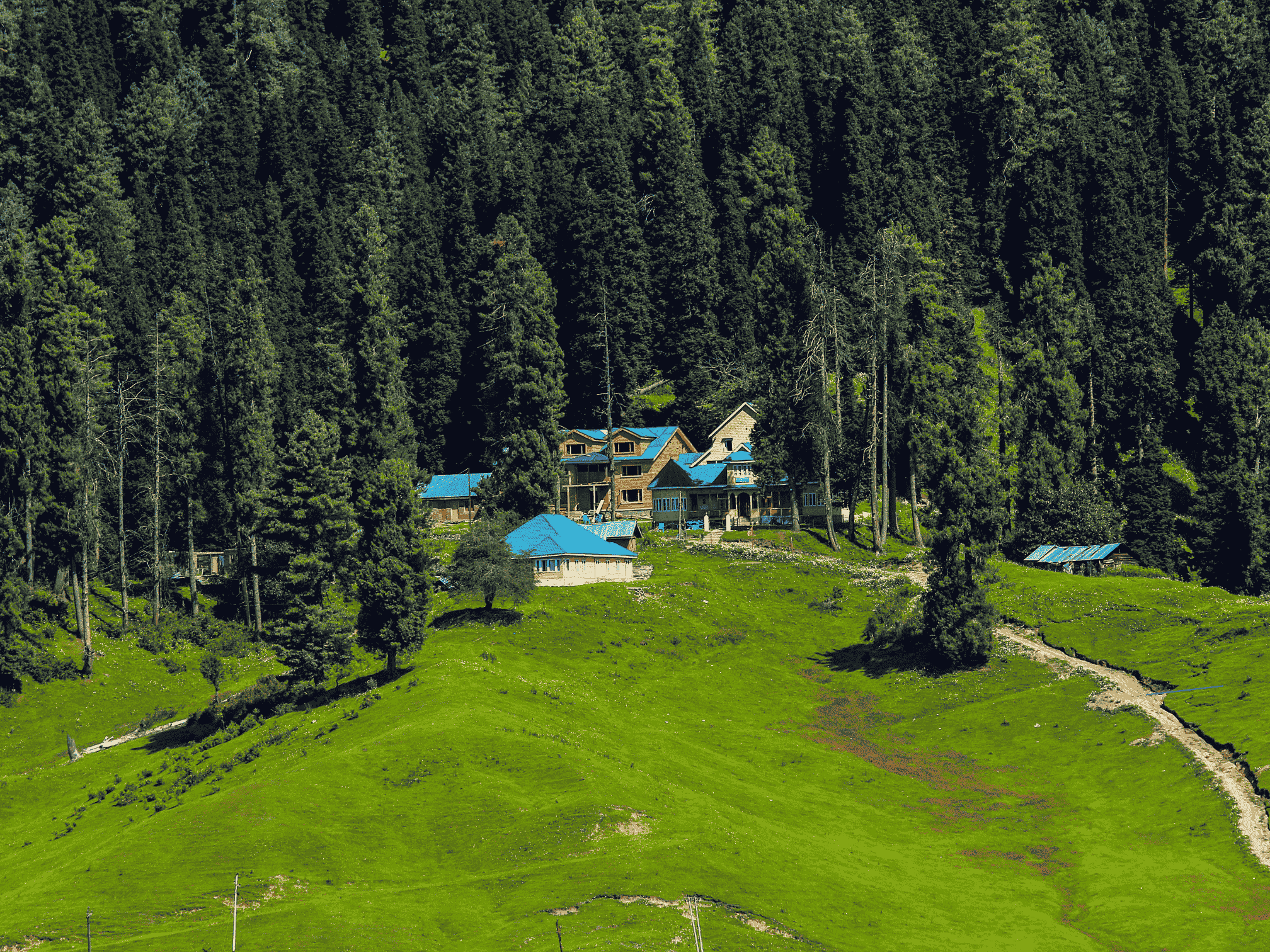 After Trek - Unwind with Gulmarg & Pahalgam Tour  