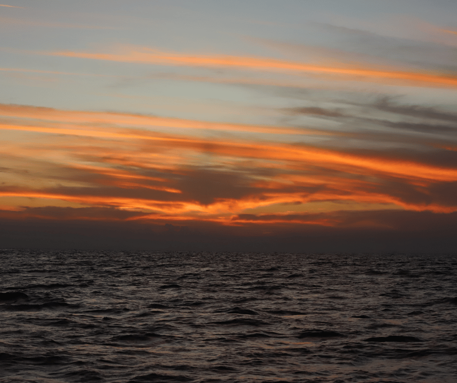 Image 79