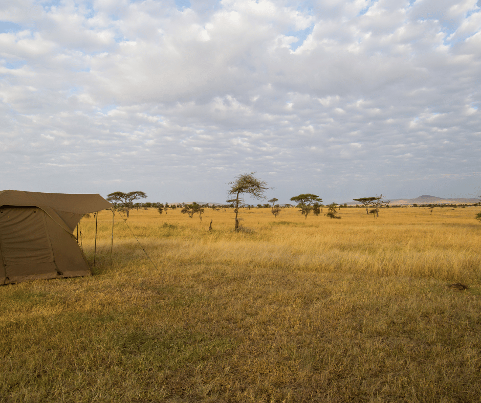 Serengeti camp leisure