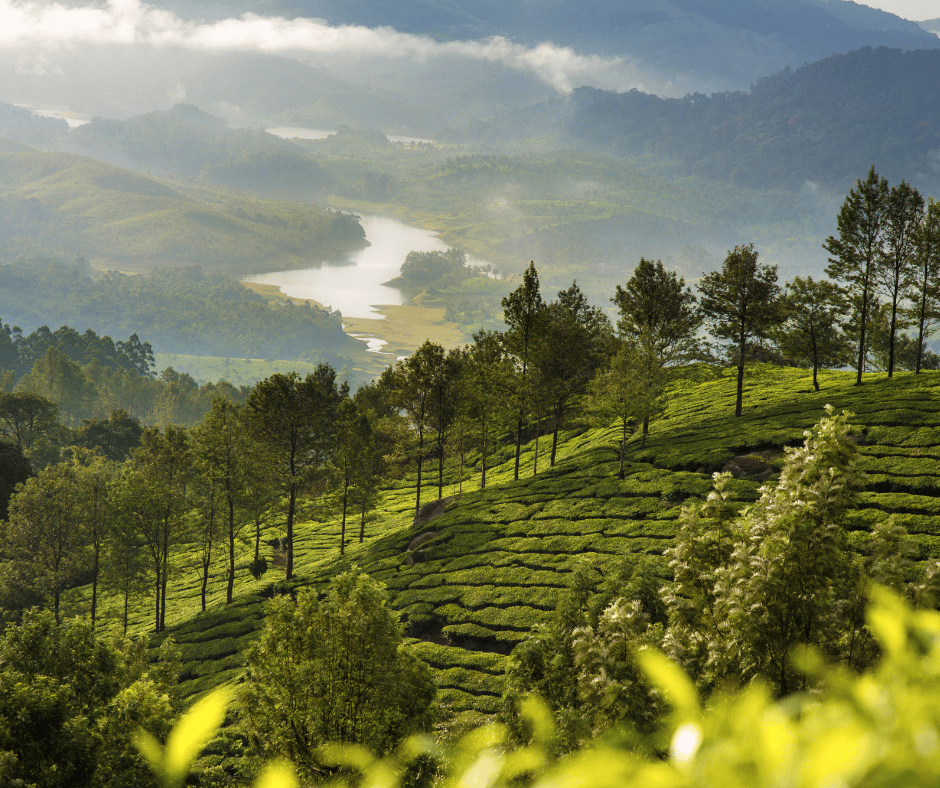 Munnar