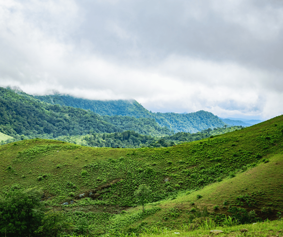 Thekkady