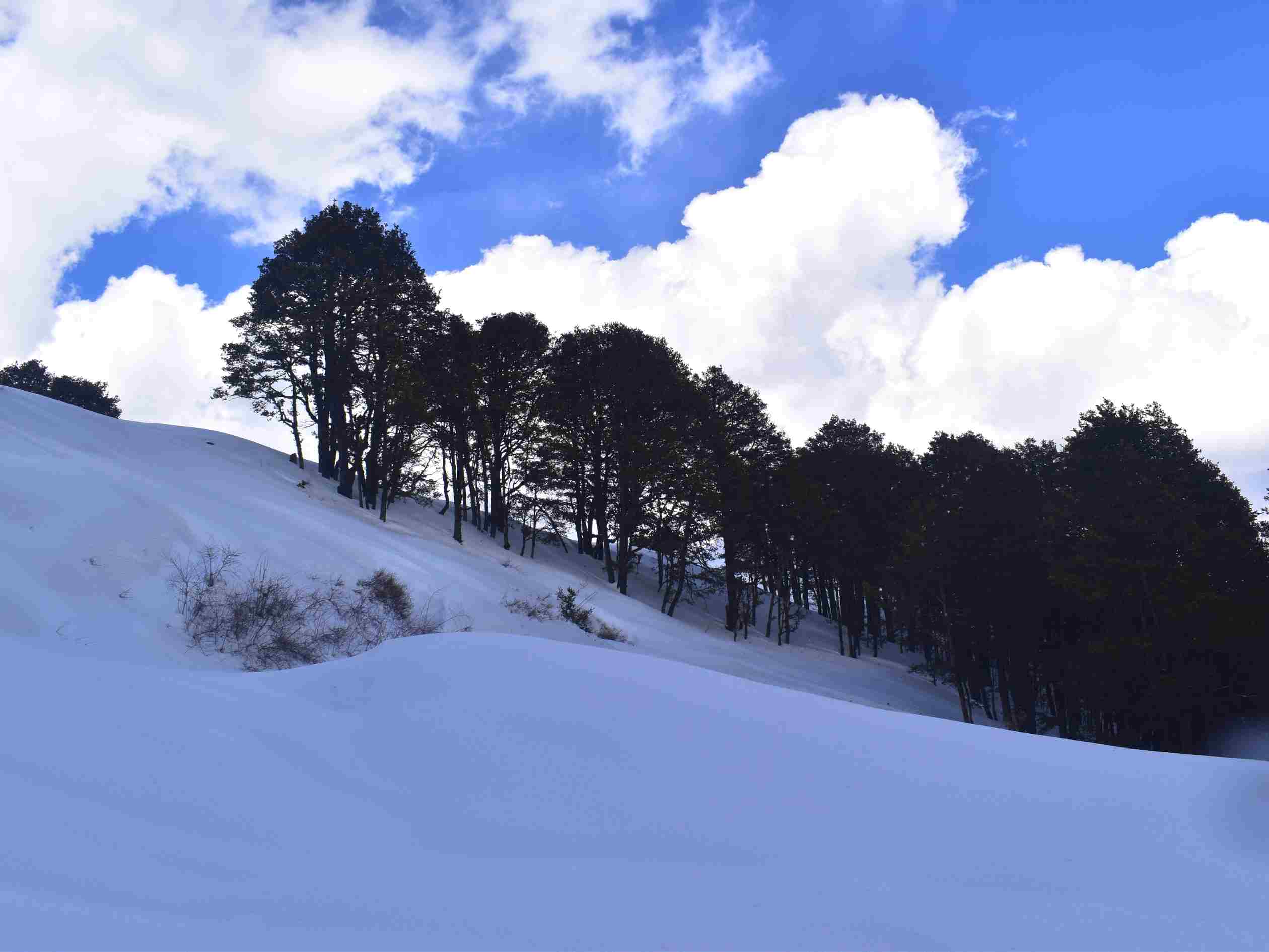 Visit to Jalori Pass & Trek Further to 360 Degree Viewpoint & Serolsar Lake