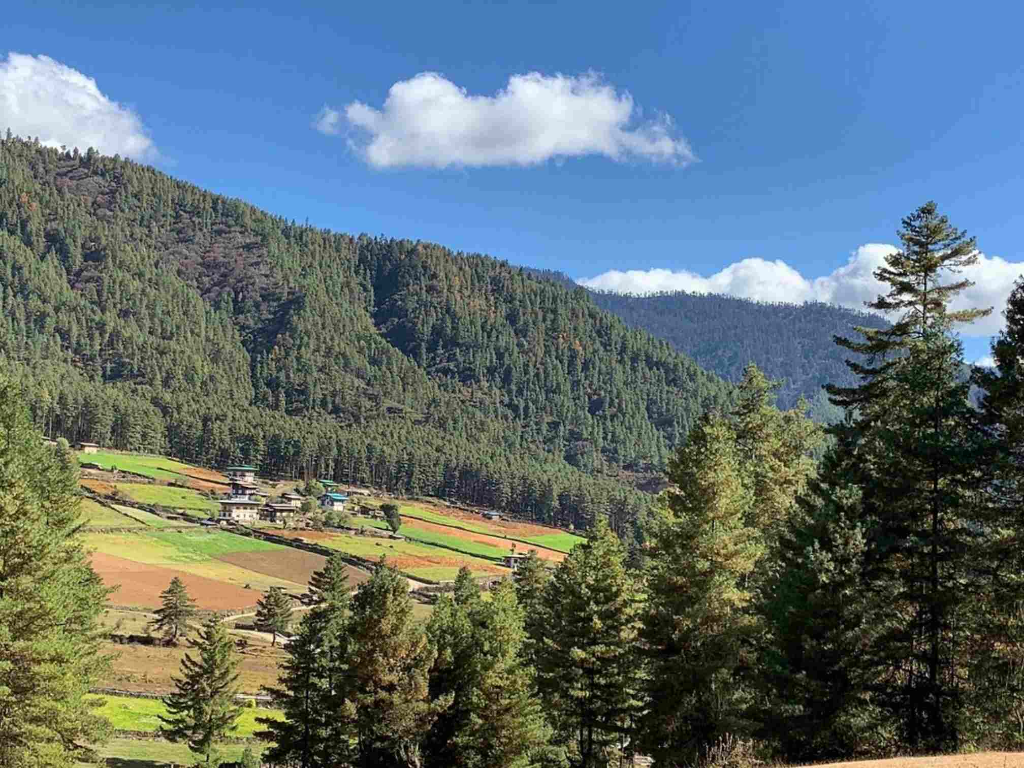 Phobjikha Valley