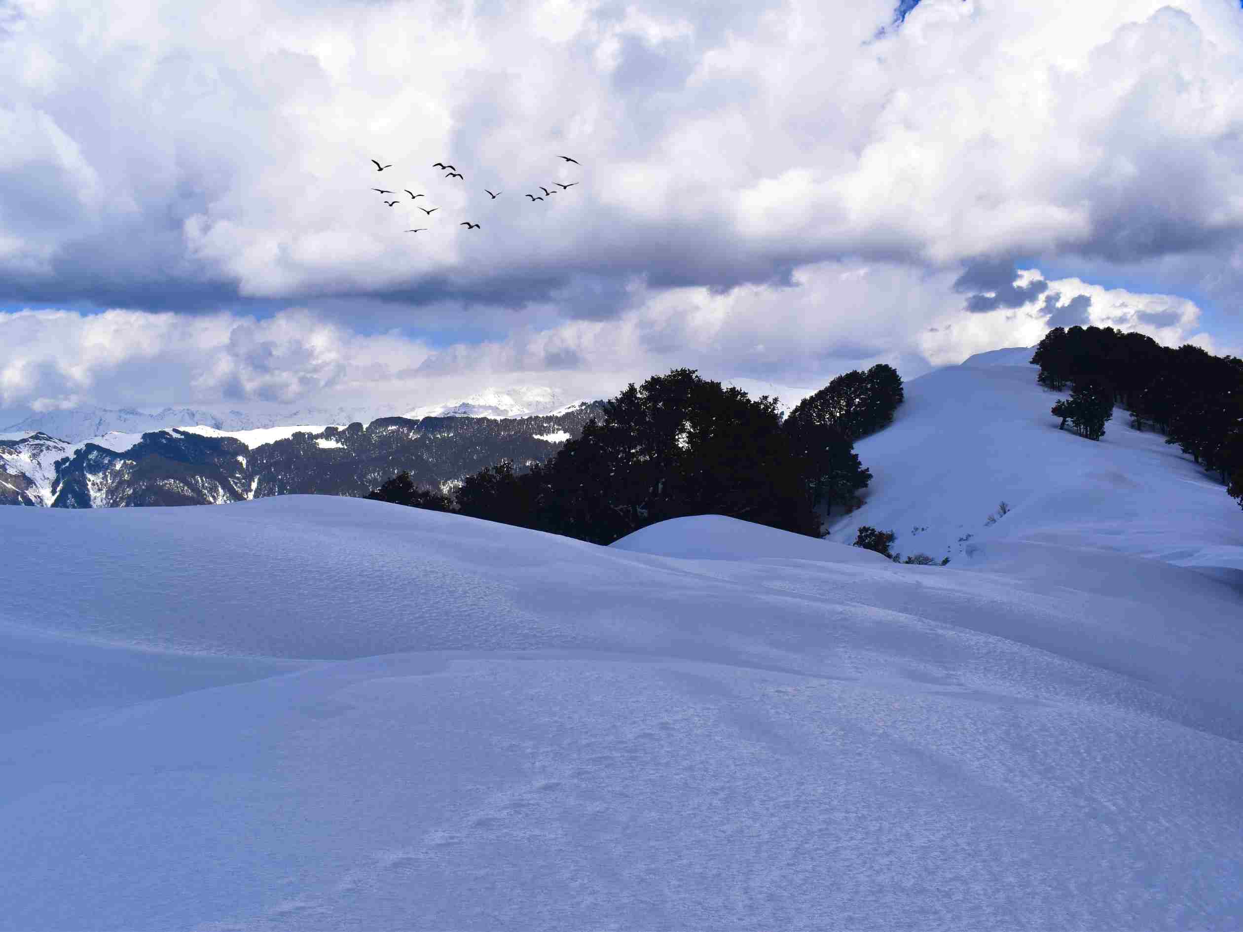 Visit to Jalori Pass & Trek Further to 360 Degree Viewpoint & Serolsar Lake