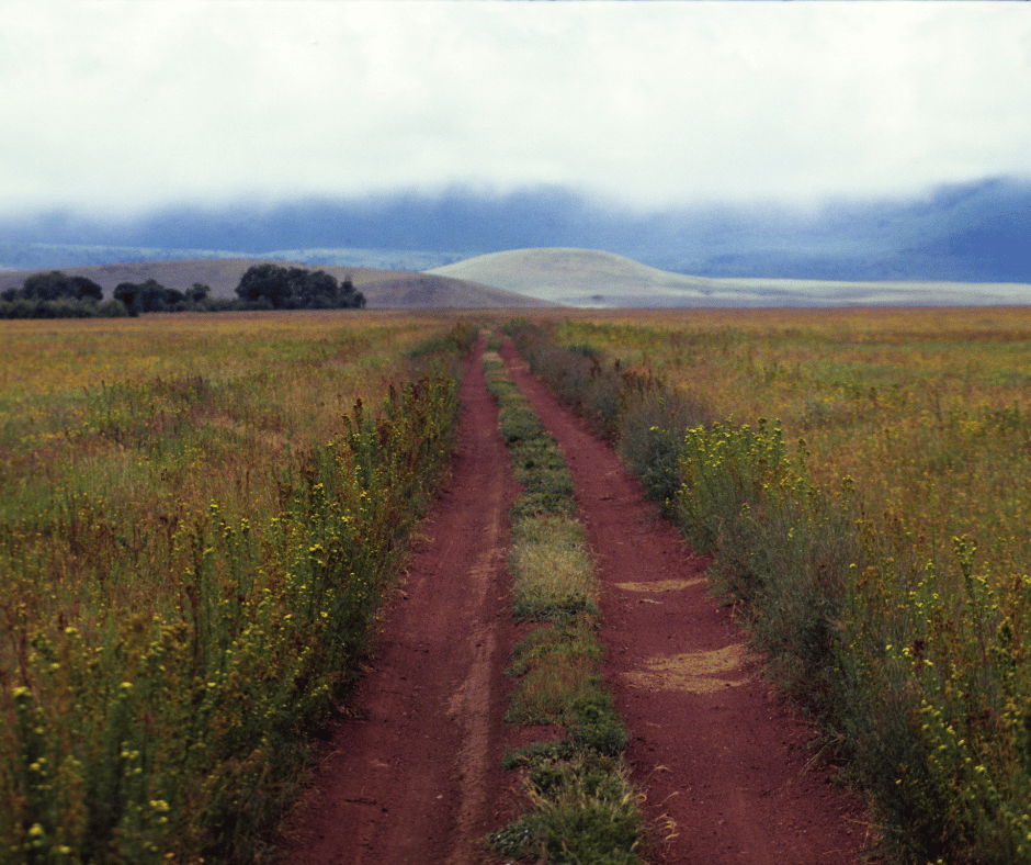 Image 91