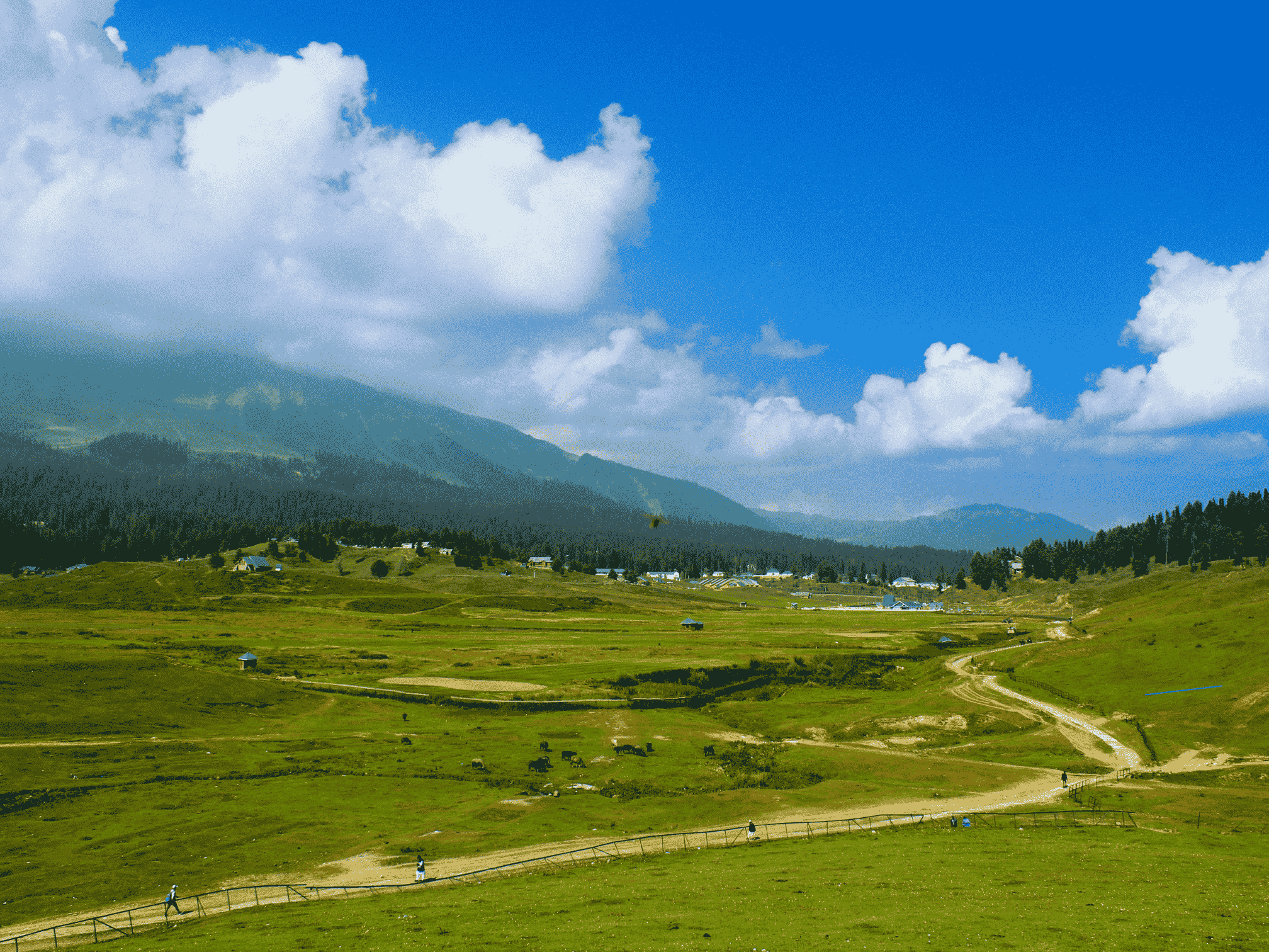 Sightseeing in Gulmarg