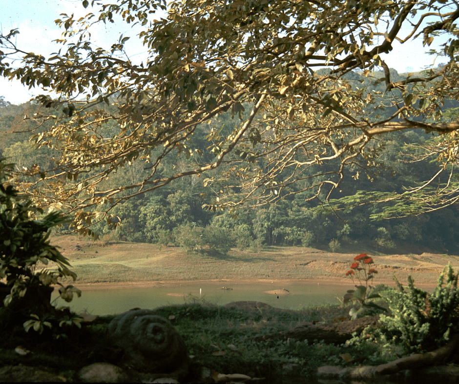 Thekkady