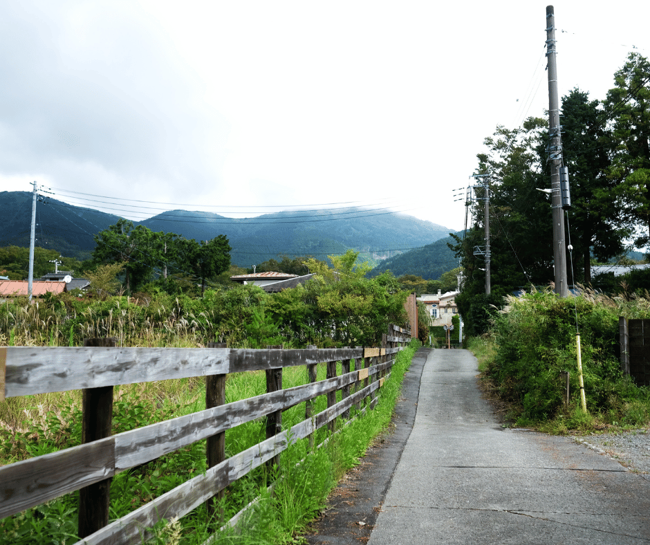 Image 135