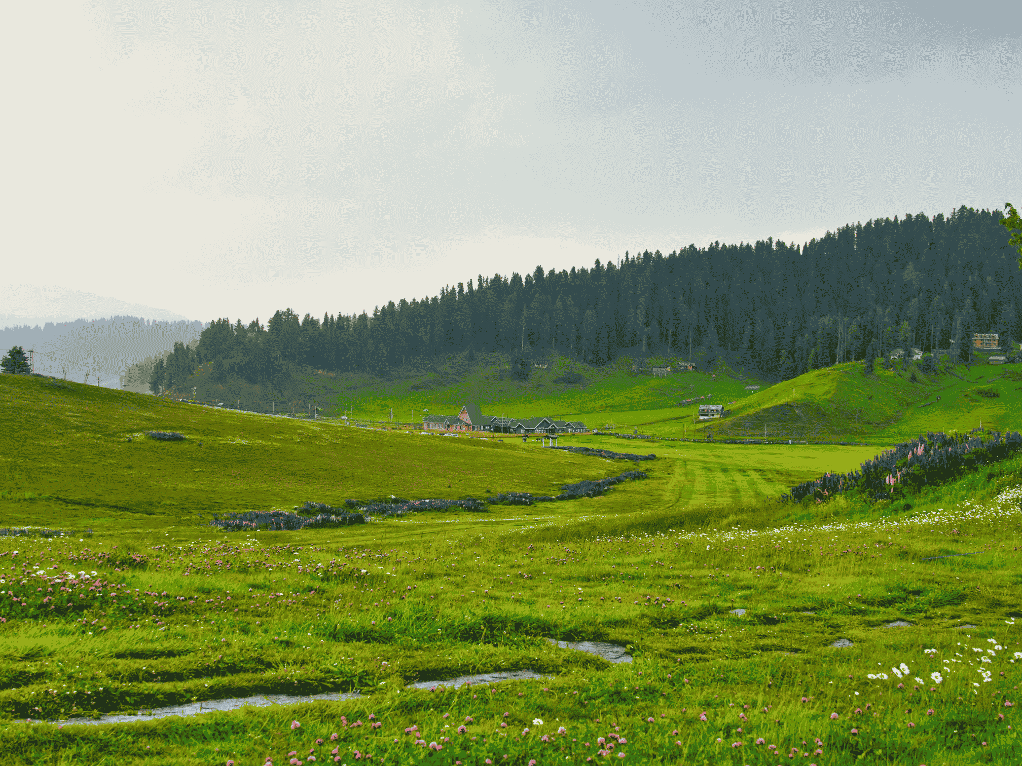 Meadows of Gulmarg
