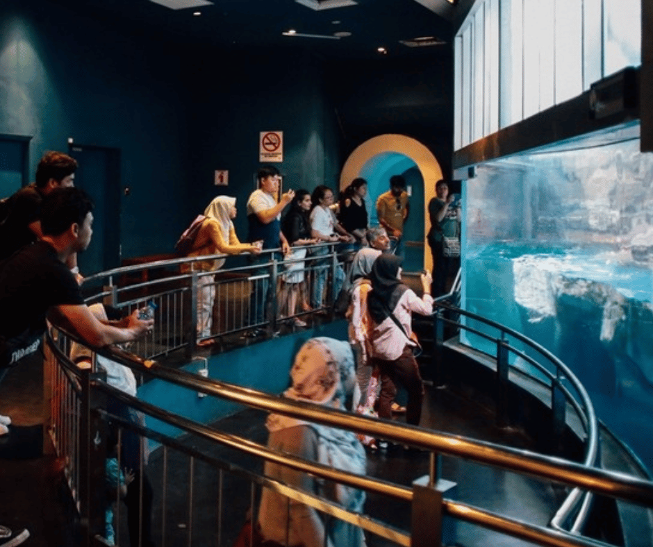 Underwater World