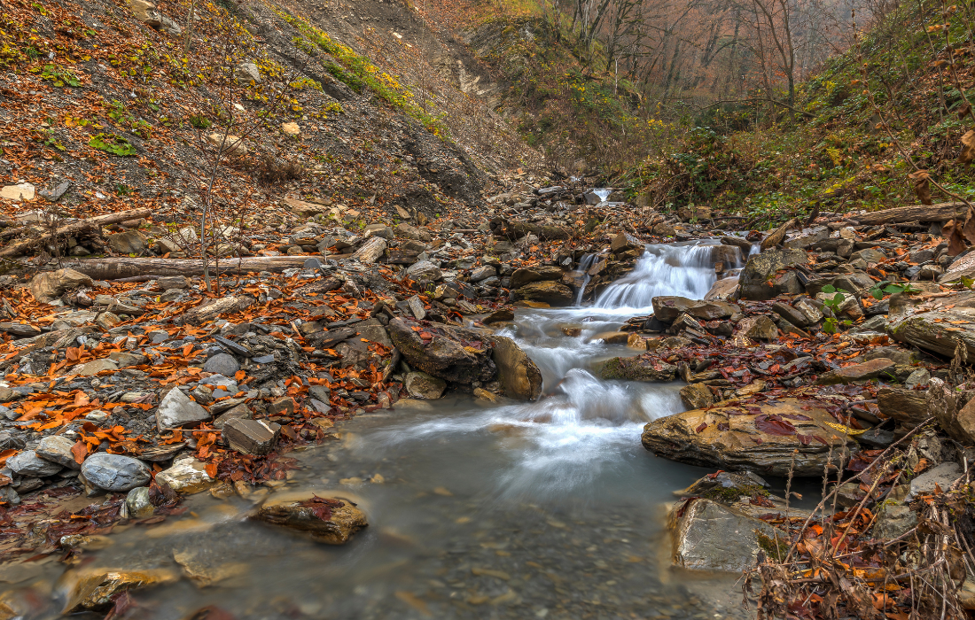 Image 32