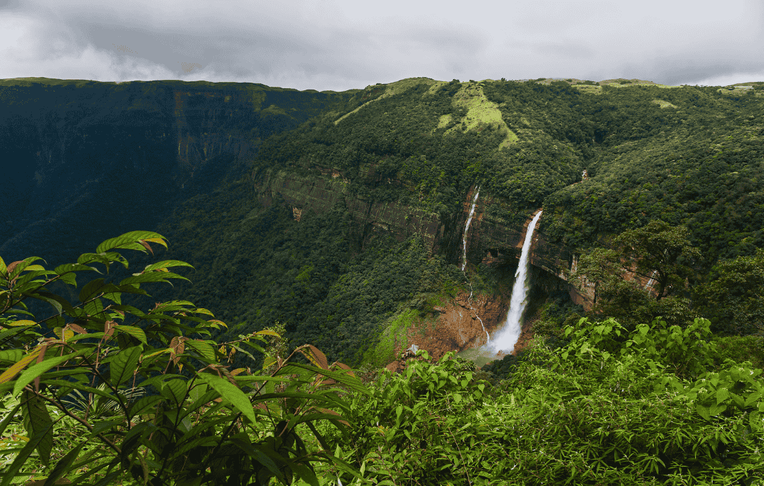 Meghalaya Wild: Kaziranga Safari & Double Decker Bridge Hike