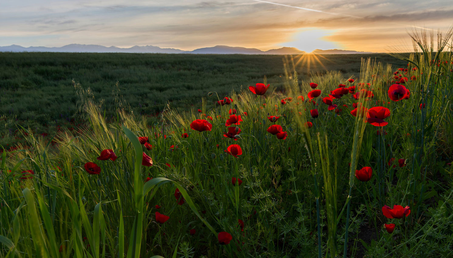 Spring in Azerbaijan