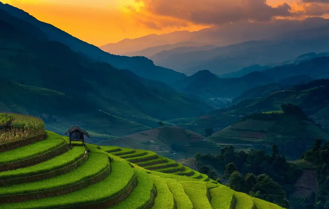 Vietnam