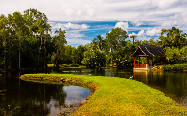 Cairns Botanic Garden