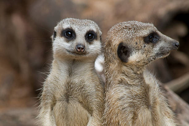 Taronga Zoo