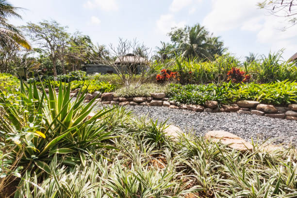 Cairns Botanic Garden